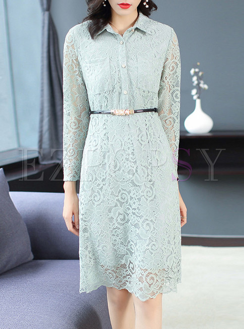 Turn Down Collar Perspective Lace Slim Dress