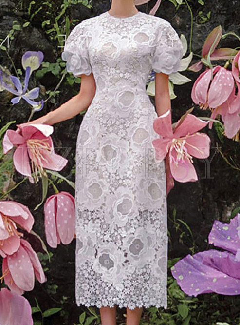 Elegant Embroidered Mesh Lace Midi Dress