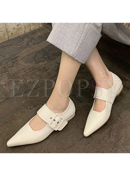 Women's Pointed Toe Fashion Shoes