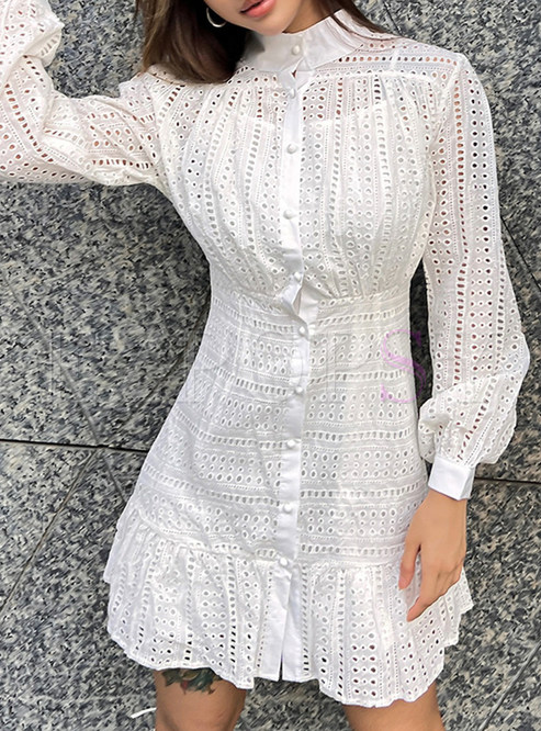 Mock Neck Embroidered Single-Breasted A-Line Dresses