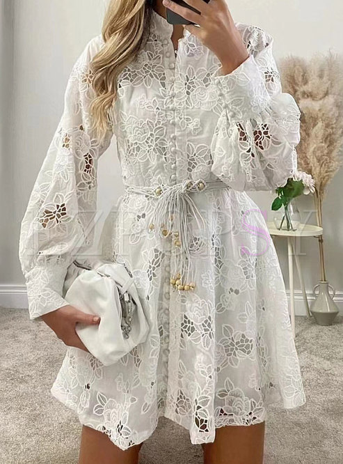 Romantic Waisted Openwork Embroidered Skater Dresses