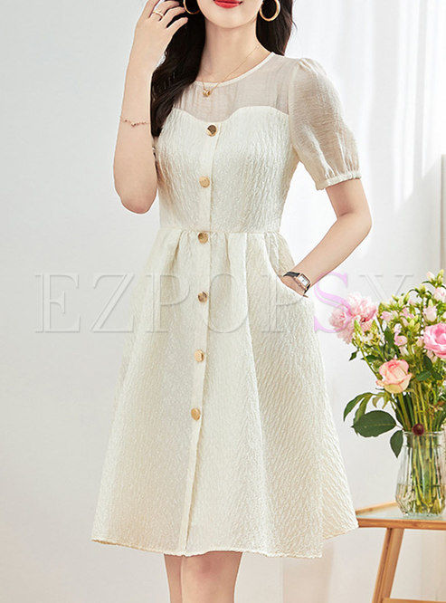 Romantic Puff Sleeve Single-Breasted Skater Dresses