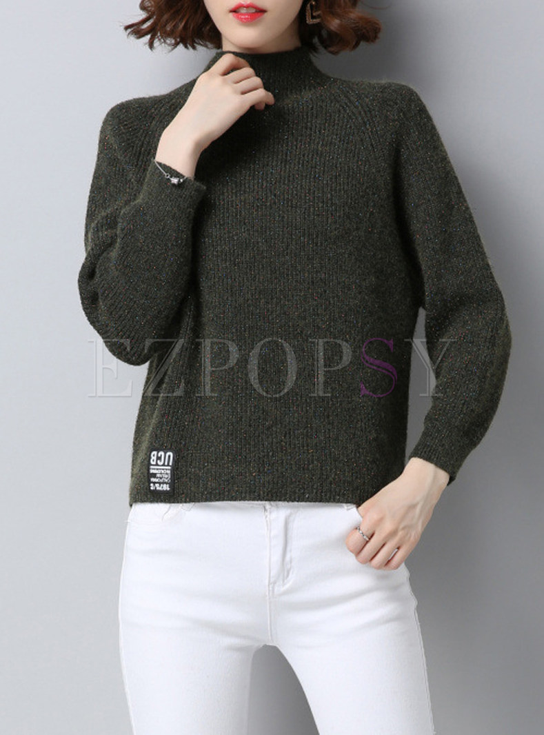 Brief Turtle Neck Knitted Sweater