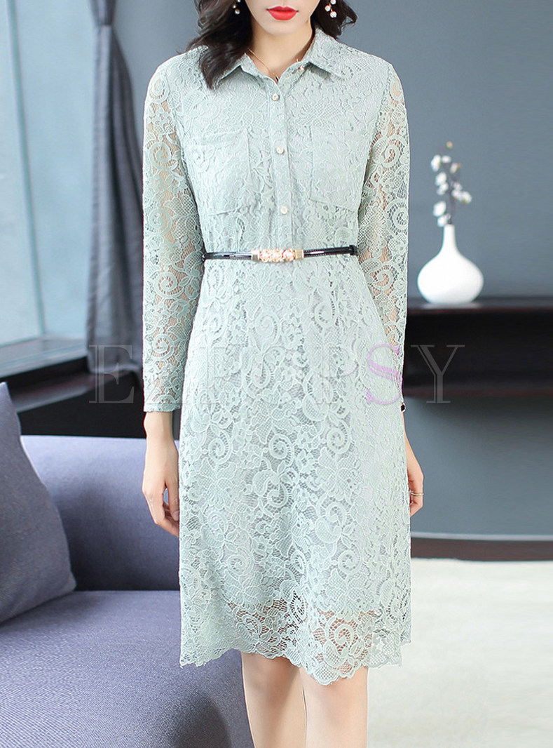 Turn Down Collar Perspective Lace Slim Dress