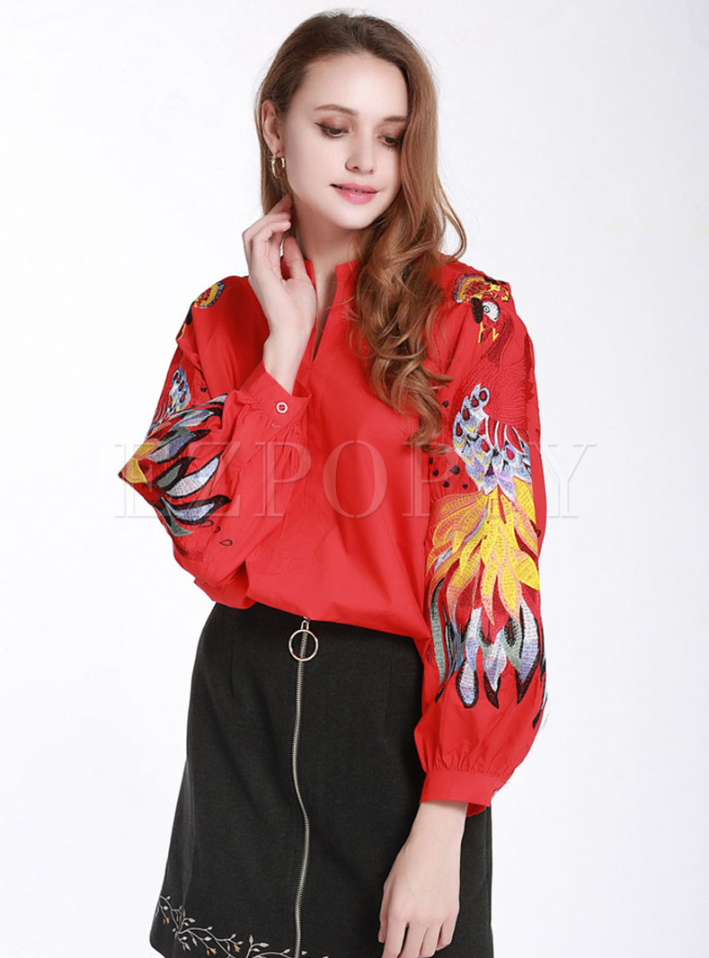 Lantern Sleeve Embroidered Pullover Blouse