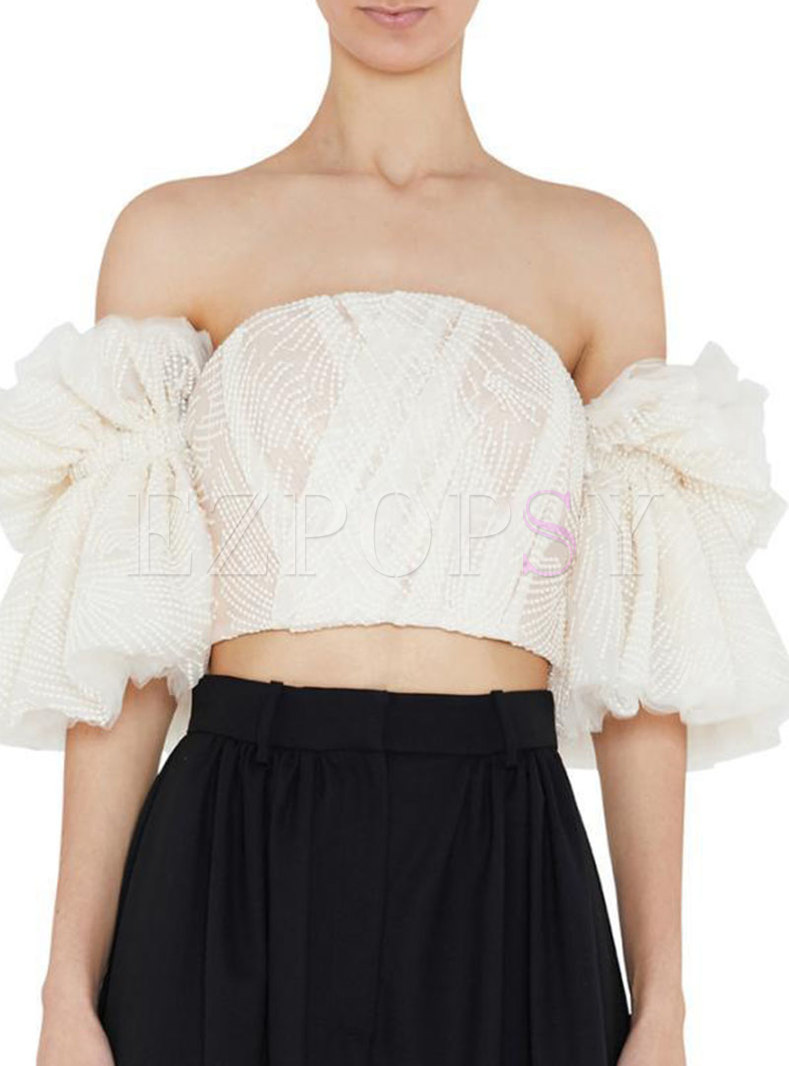 Off-the-shoulder Mesh Embroidered Crop Blouse