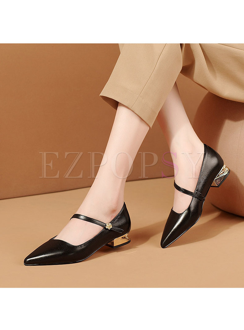 Pointed Toe Low Heel Ankle Strap Shoes