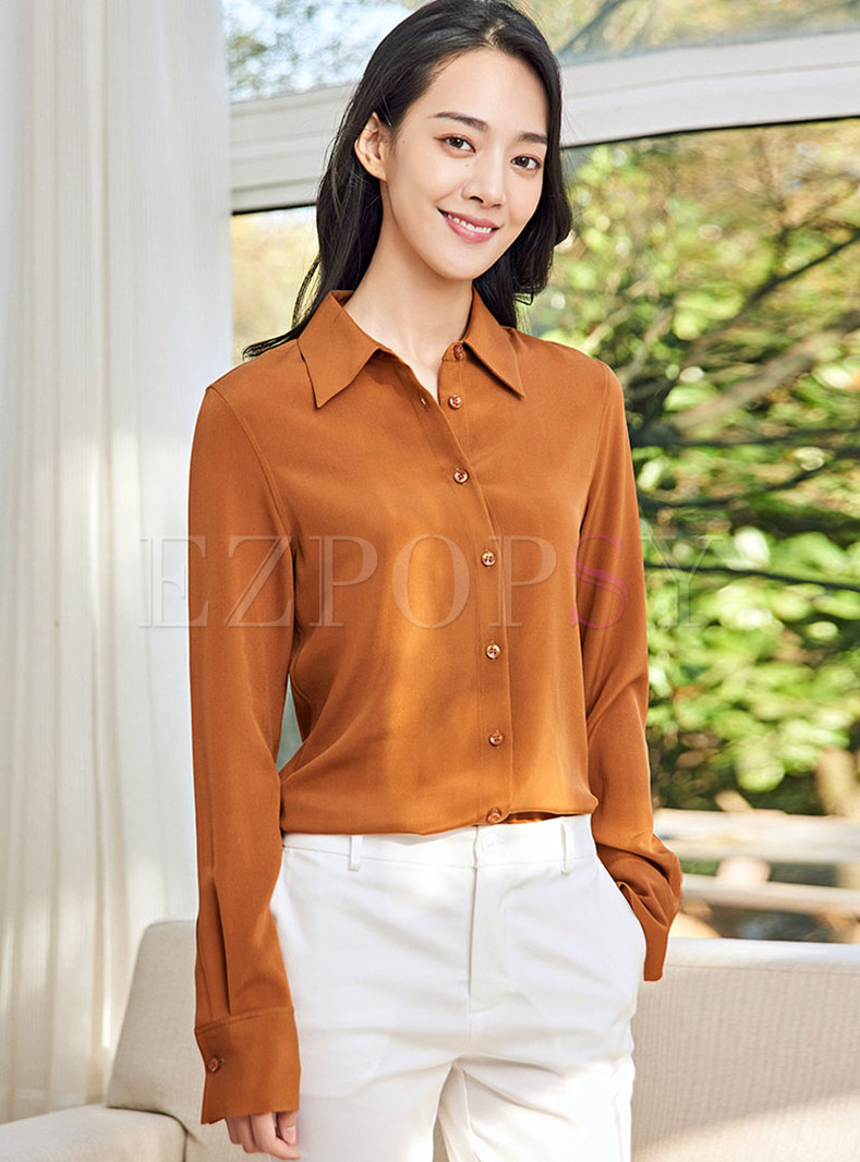Brief Long Sleeve Single-breasted Silk Blouse