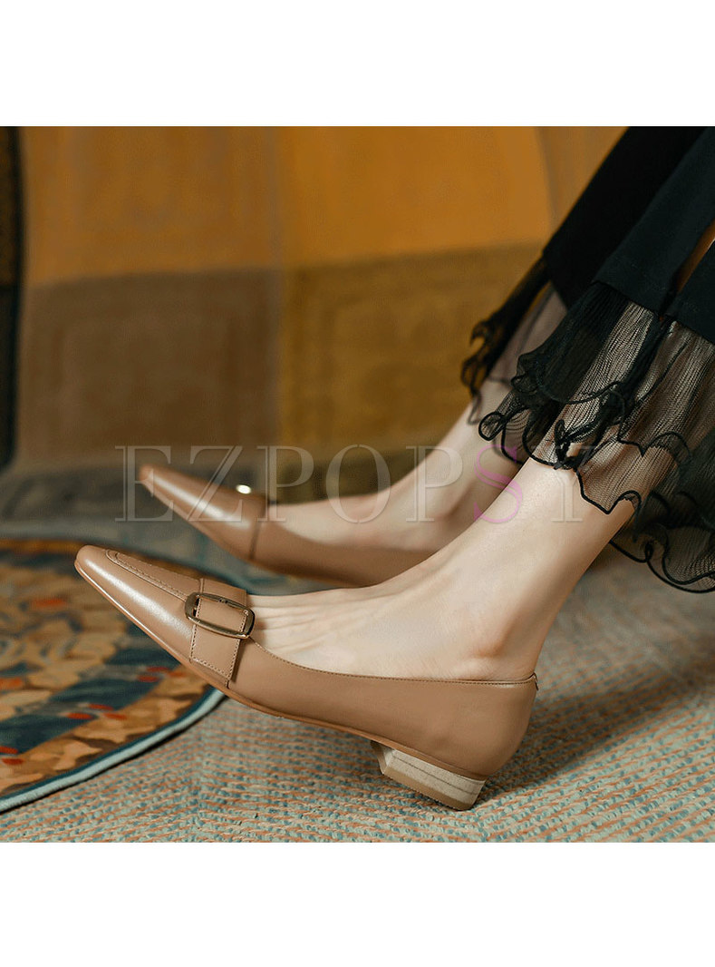 Retro Pointed Toe Buckle Low Heel Shoes