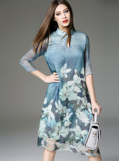 Mandarin Collar Print Dress