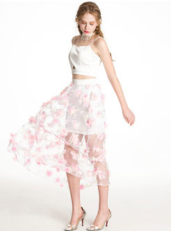 Mesh Embroidery Patch See Through Look Skirt