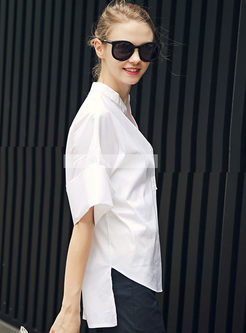 Brief Loose Sleeve Stand Collar Pullover Blouse
