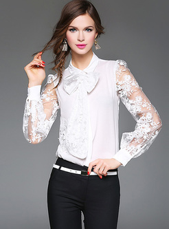 Mesh Lace Embroidery Tied-collar Blouse