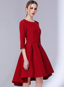 Brief A-Line Pleated Asymmetric Solid Color Skater Dress