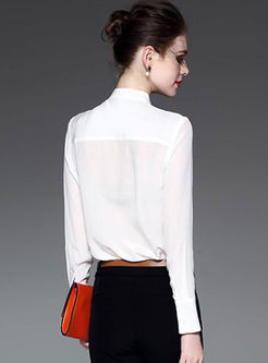 Brief Long Sleeve Stand Collar Silk Blouse