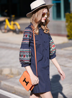 Brief Oversize Embroidery Puff Sleeve Shirt Dress