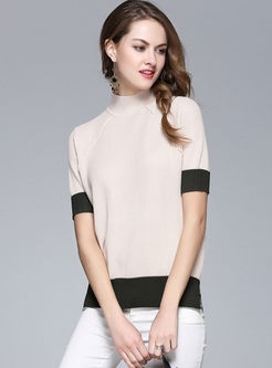 Brief Hit Color Turtle Neck Short Sleeve Sweater