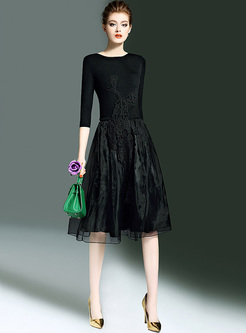 Elegant Lace Waist Mesh Patch A-line Dress