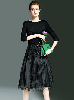 Elegant Lace Waist Mesh Patch A-line Dress