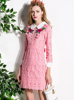 Sweet Turn Down Collar Embroidery Skater Dress