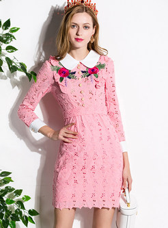Sweet Turn Down Collar Embroidery Skater Dress
