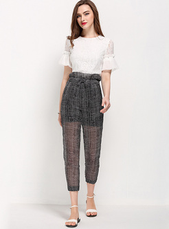 Casual Perspective Chiffon Straight Pants