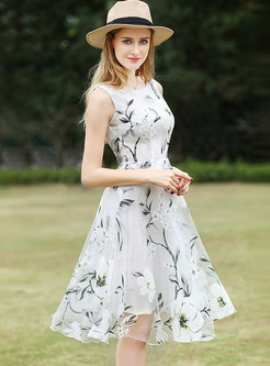 Brief Flower Print Waist Sleeveless A-line Dress