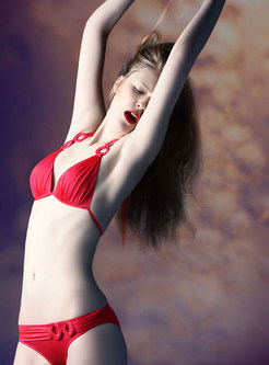 Fashion Brief Red Halter Neck Bikini