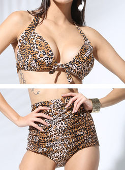 Leopard Print High Waist Halter Neck Bikini Swimwear