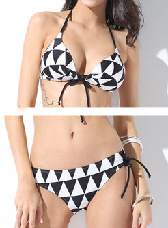 Sexy Triangle Print Halter Neck Bikini Swimwear
