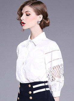 Turn Down Collar Hollow Out Lantern Sleeve Blouse