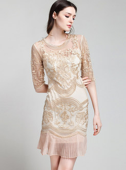 Sexy Lace Embroidered Half Sleeve Bodycon Dress