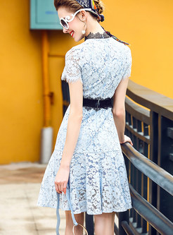 Elegant Lace Hollow Out Slim Short Sleeve Skater Dress