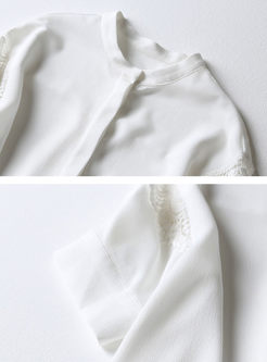 Casual Pure Color Embroidered Hollow-out Sheath Blouse 