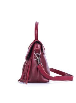 Ethnic Leather-tasseled Covered Closure Crossbody Bag