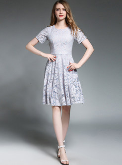 Lace Hollow Out Gathered Waist Short Sleeve Skater Dress