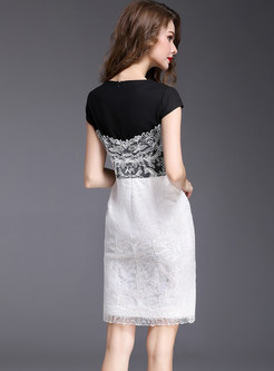 Lace Hit Color Embroidered Bodycon Dress