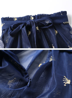 Blue Mesh Short Sleeve Blouse & Embroidered Skirt