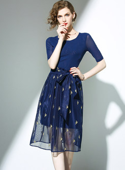 Blue Mesh Short Sleeve Blouse & Embroidered Skirt