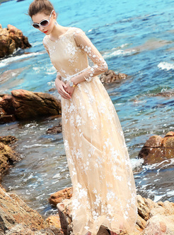 Elegant Embroidery Mesh Perspective Maxi Dress