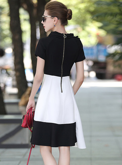 Elegant Asymmetric Neck Monochrome Skater Dress