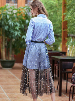 Blue Embroidered Long Sleeve Blouse & Mesh See Through Skirt