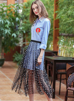 Blue Embroidered Long Sleeve Blouse & Mesh See Through Skirt