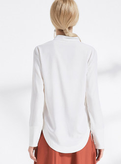Brief Embroidered V-neck Long Sleeve Slim Blouse
