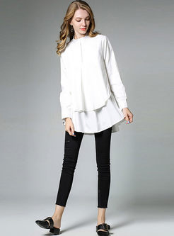 Brief Loose Stand Collar Long Sleeve Blouse