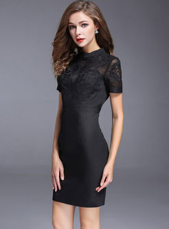 Stylish Lace Embroidered Short Sleeve Bodycon Dress
