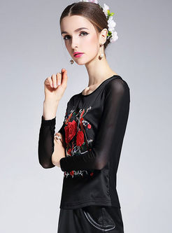Brief Mesh Embroidered Long Sleeve Top