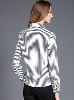 Brief Striped Embroidered Long Sleeve Blouse