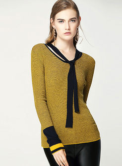 Brief V-neck Long Sleeve Knitted Sweater