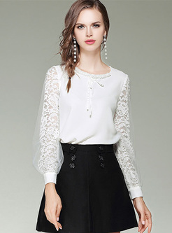 Chic Lace Lantern Sleeve Pullover Blouse